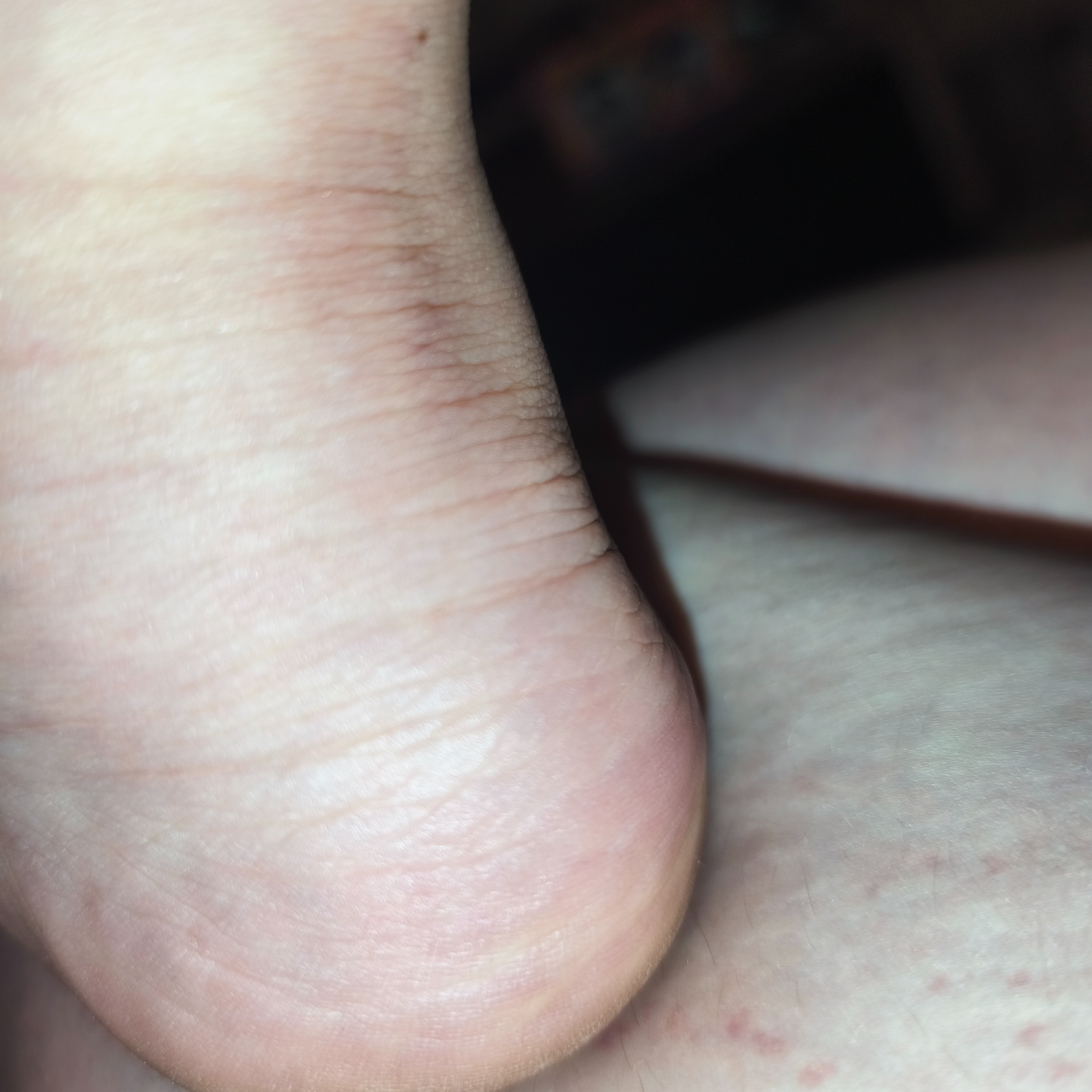 Photo pied